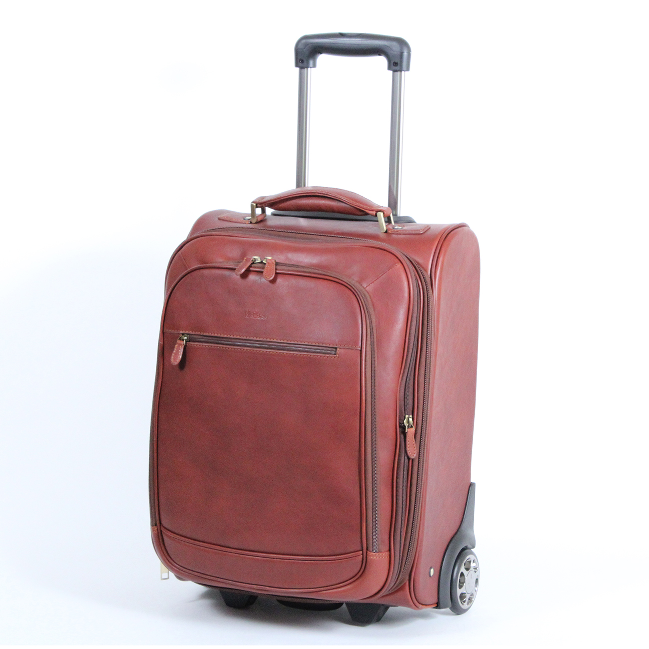 leather trolley bag