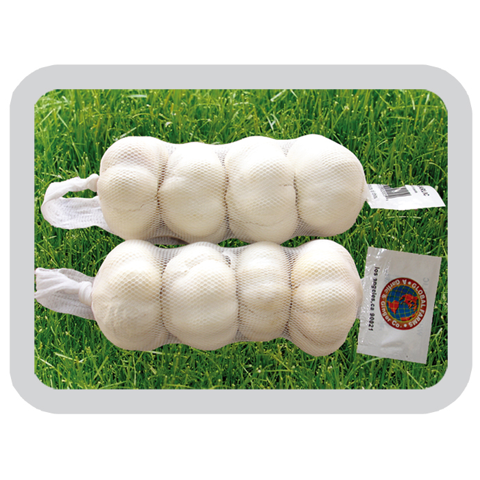 China Pizhou Pure White Garlic Fresh Garlic