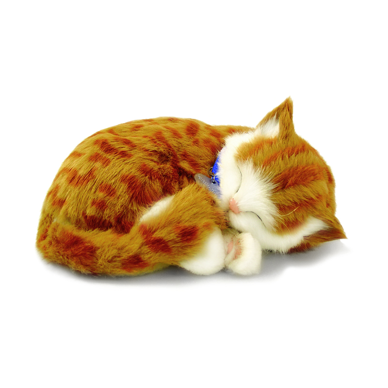 Perfect Petzzz - Orange Tabby