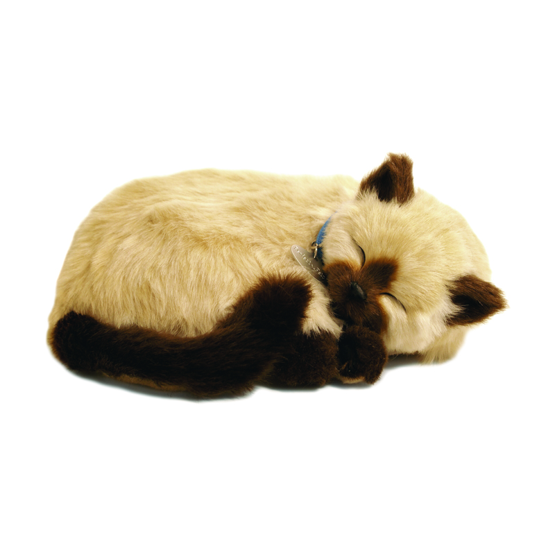 Perfect Petzzz - Tan Siamese