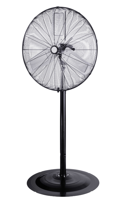 120V 30IN Oscillating Pedestal Fan