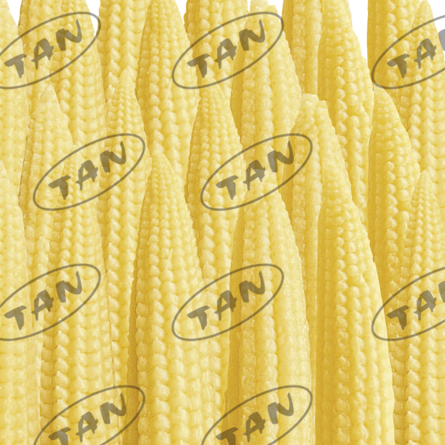 Canned baby corn