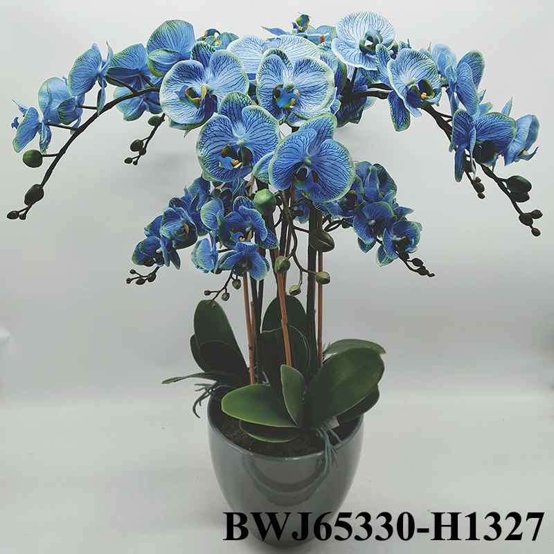 Artificial real touch orchids blue color for decoration with ceramic base