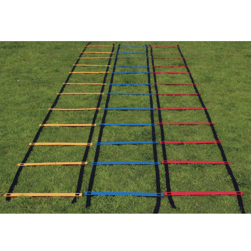 Training Ladder