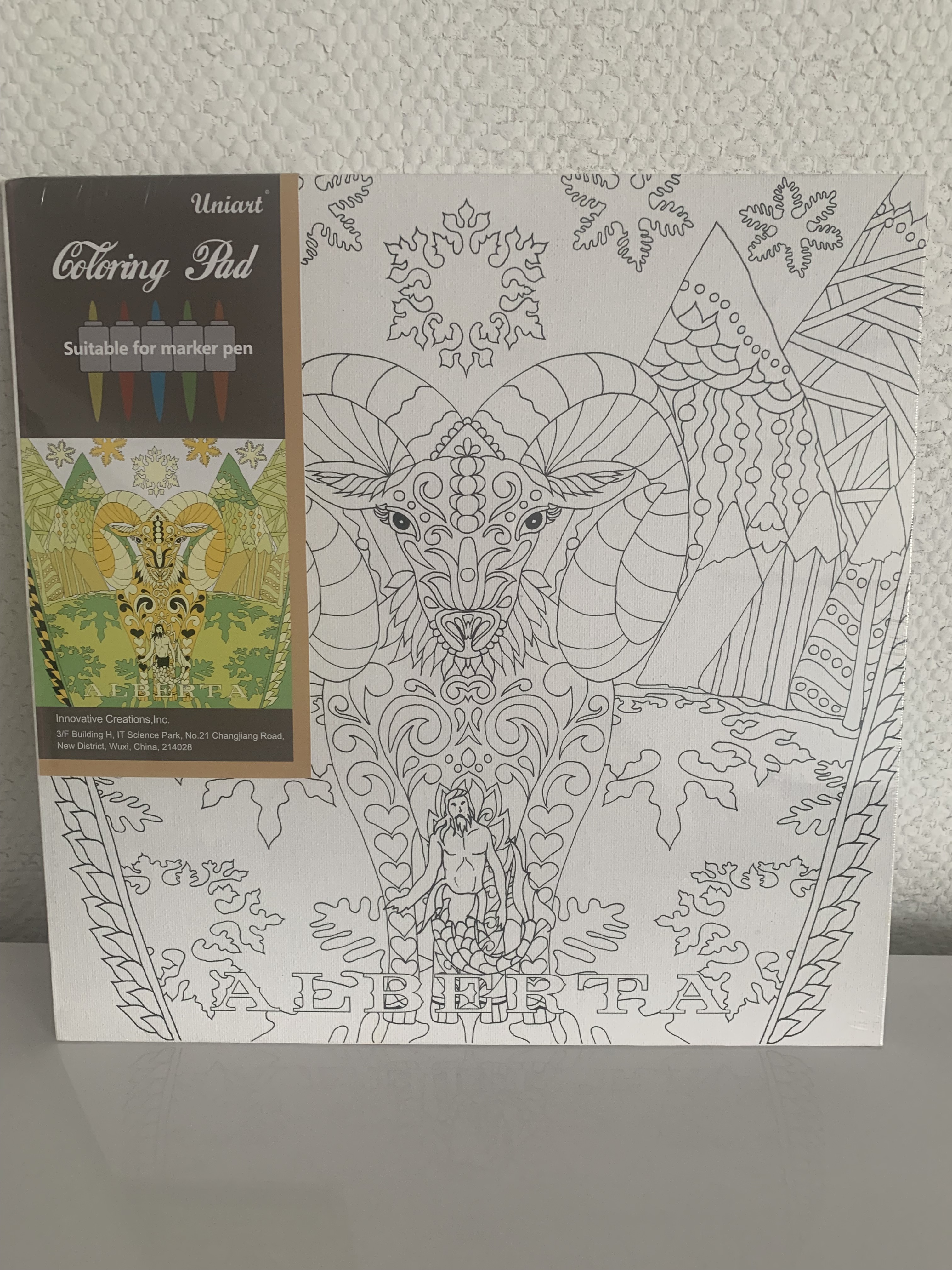 canvas panel