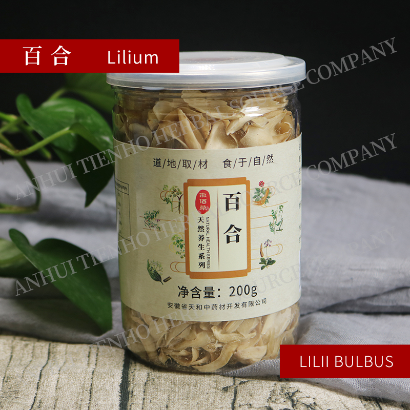 Lilium