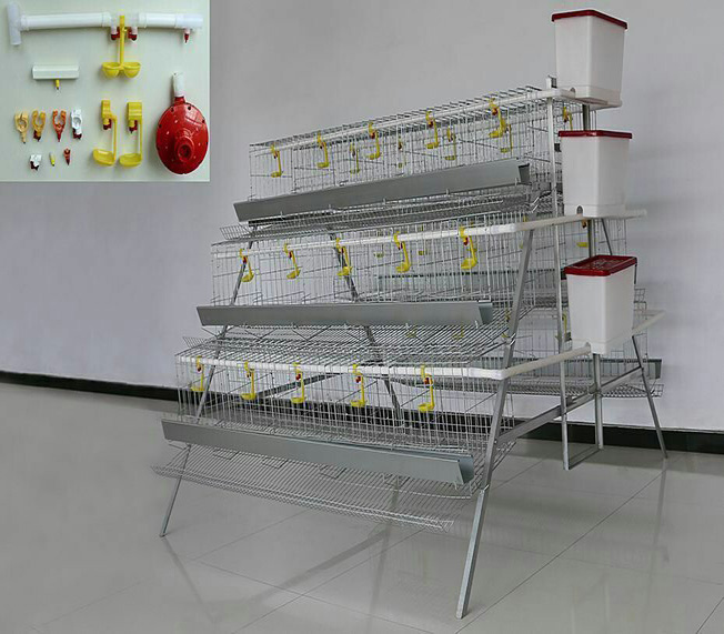 Chicken Cage