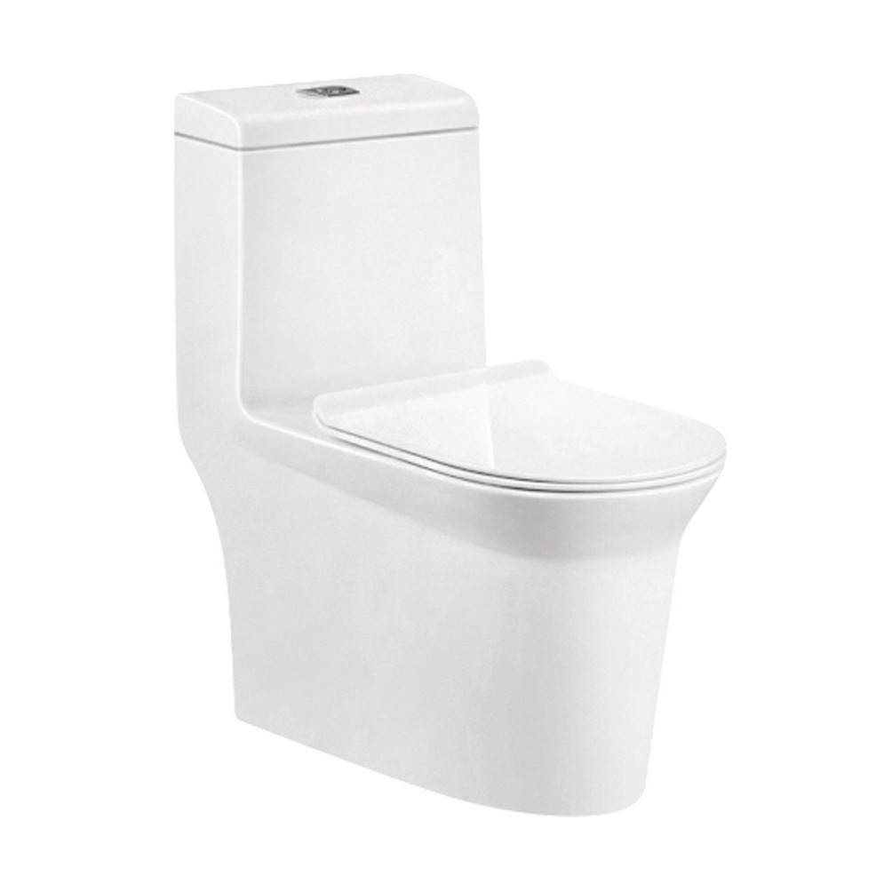 One Piece Toilet