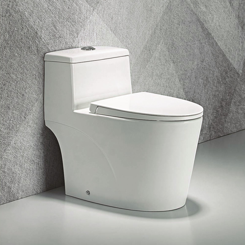 Washdown One Piece Toilet