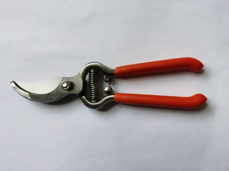 Whole-piece Drop Forged Pruner