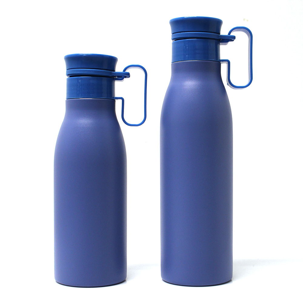 Stainless steel water bottle with handle