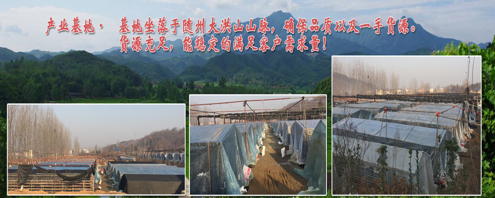 Lianfeng (Suizhou) Food Co., Ltd. – Photos produits 3