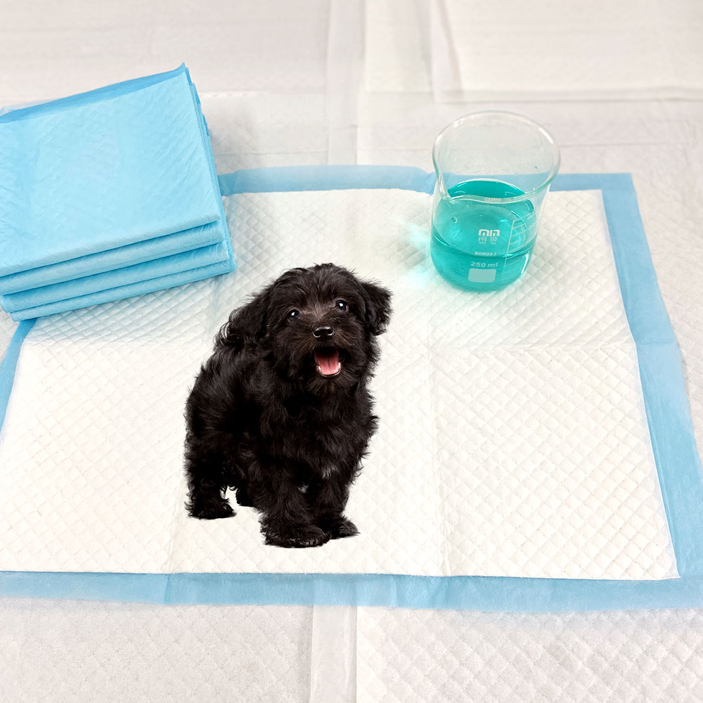 Amazon Dog pad pee pad with attractant good absorption