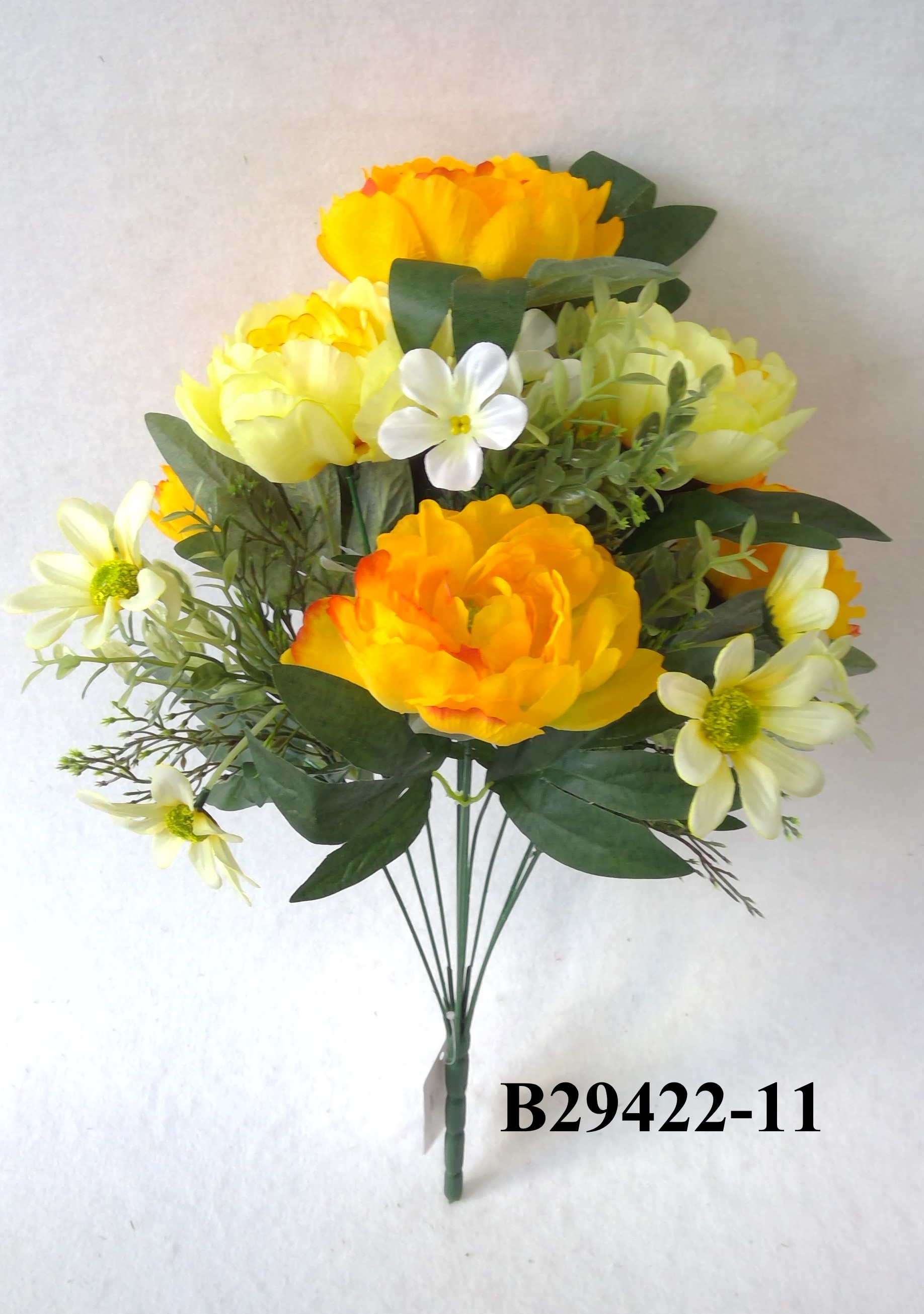 Peony daisy mix bush x 11
