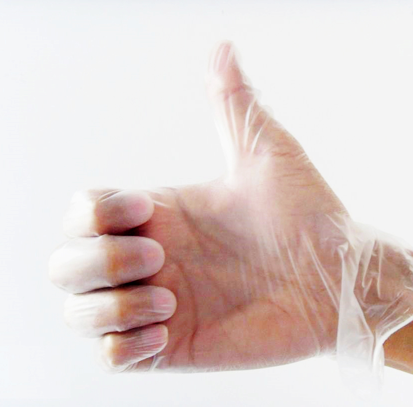 Disposable Vinyl Gloves