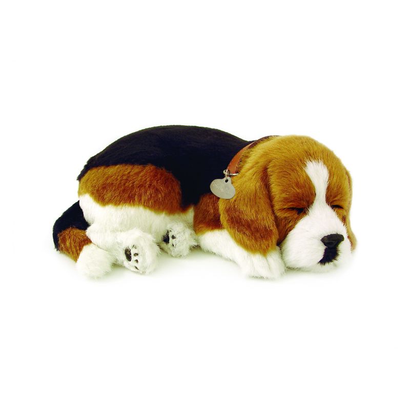 Perfect Petzzz - Beagle