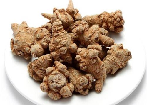 Radix Notoginseng
