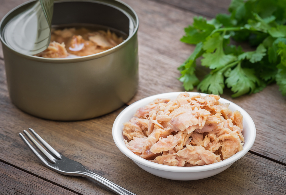 CANEND TUNA CHUNKS IN OIL Trozos de atún
