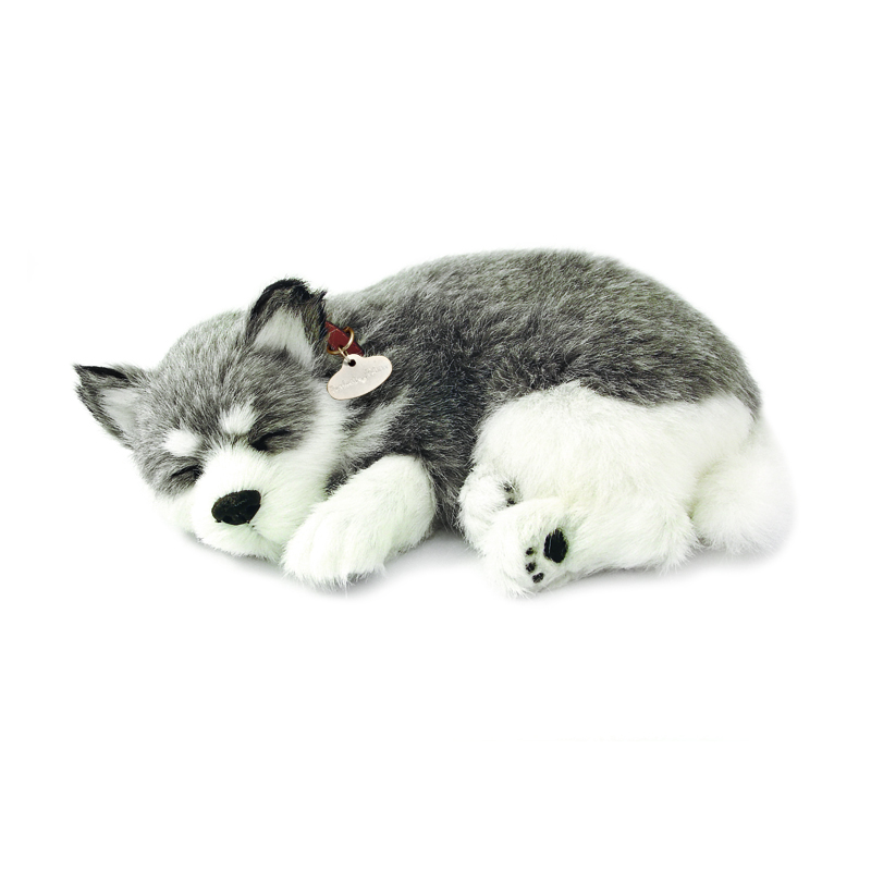 Perfect Petzzz - Alaska Husky