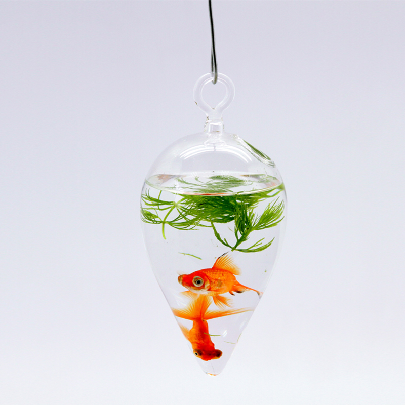Glass Goldfish Bowl