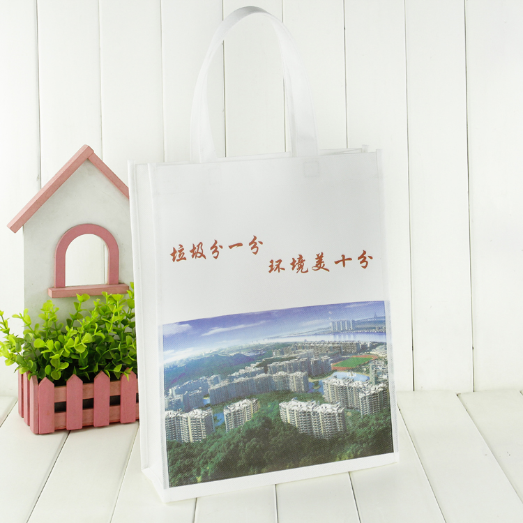 PP Non woven shopping bag