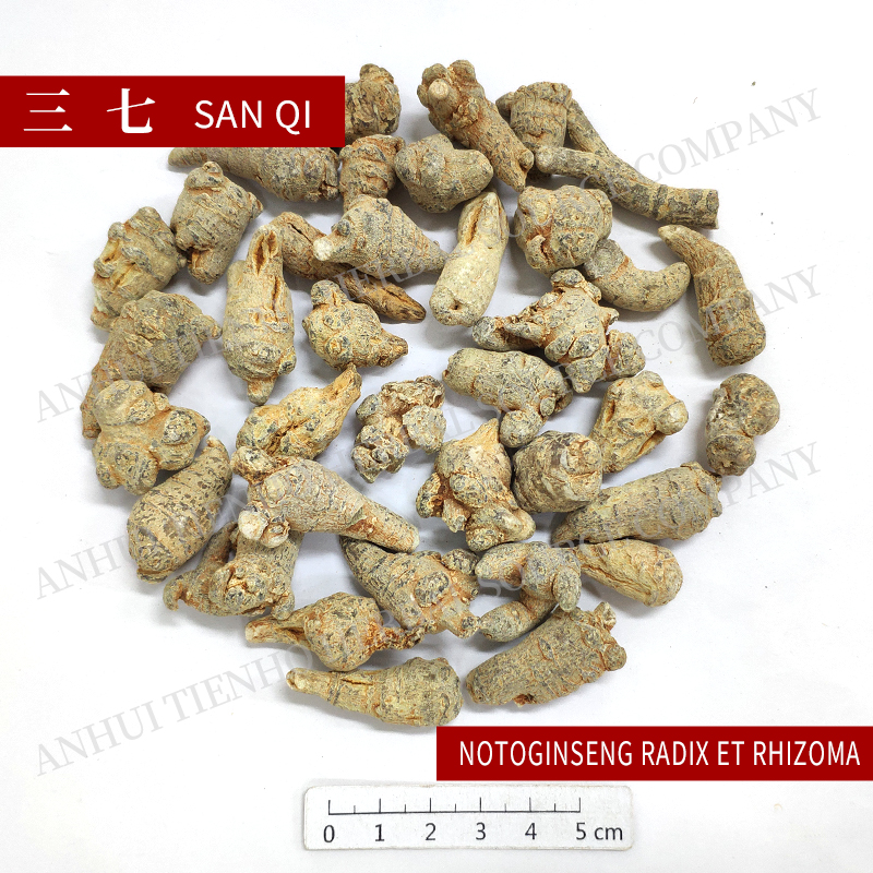 Pseudo-ginseng
