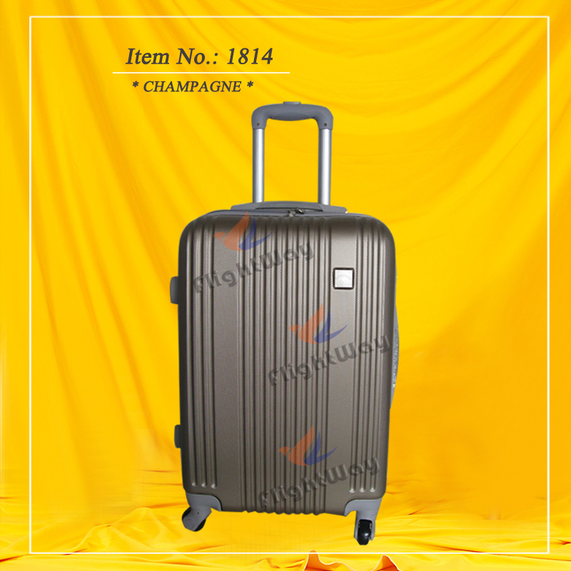 ABS Trolley Case