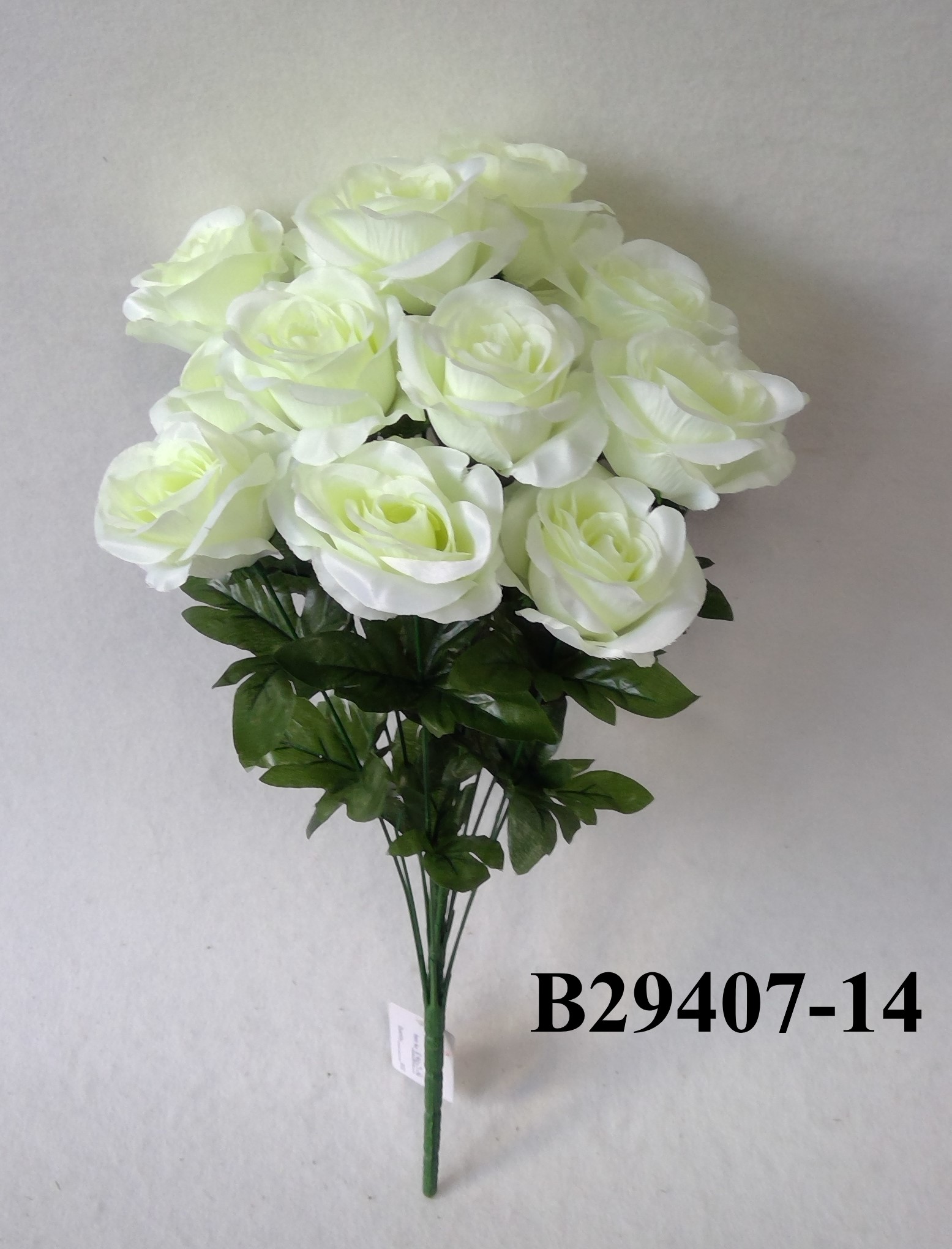 Rose bush x 14
