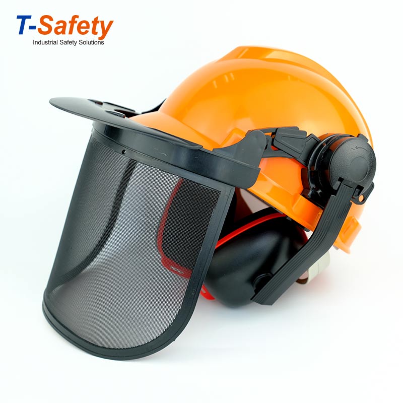 Forestry Helmet