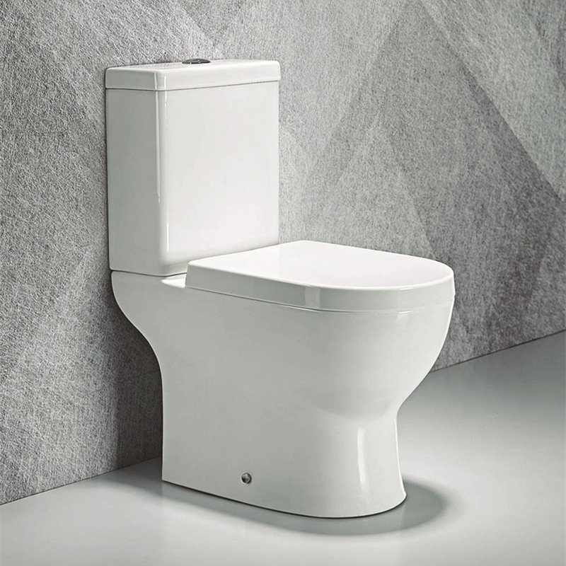 two piece washdown toilet