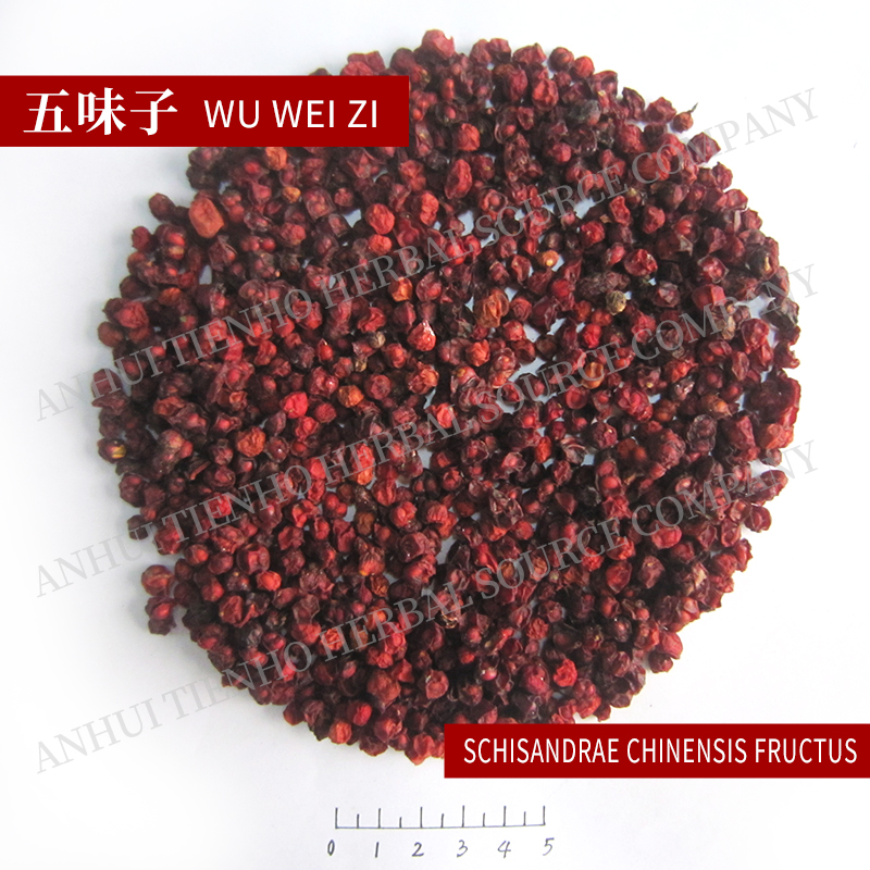 Schisandra Chinensis