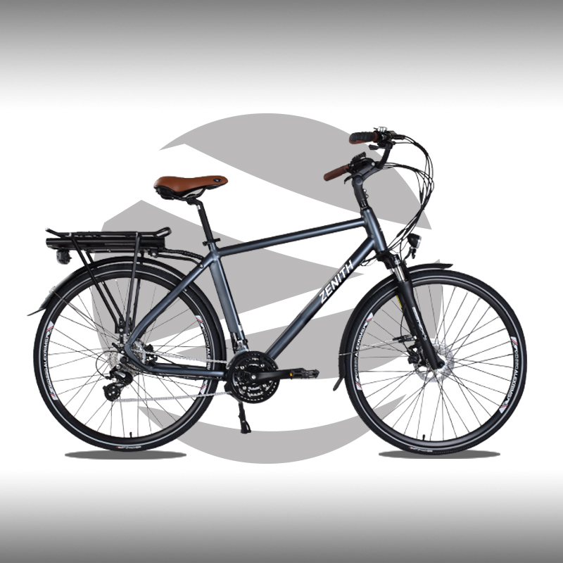 **ZNH-E-1927,24 speed Suspention Ebike, 20” ELECTRIC BICYCLE, EBIKE, Made in Taiwan