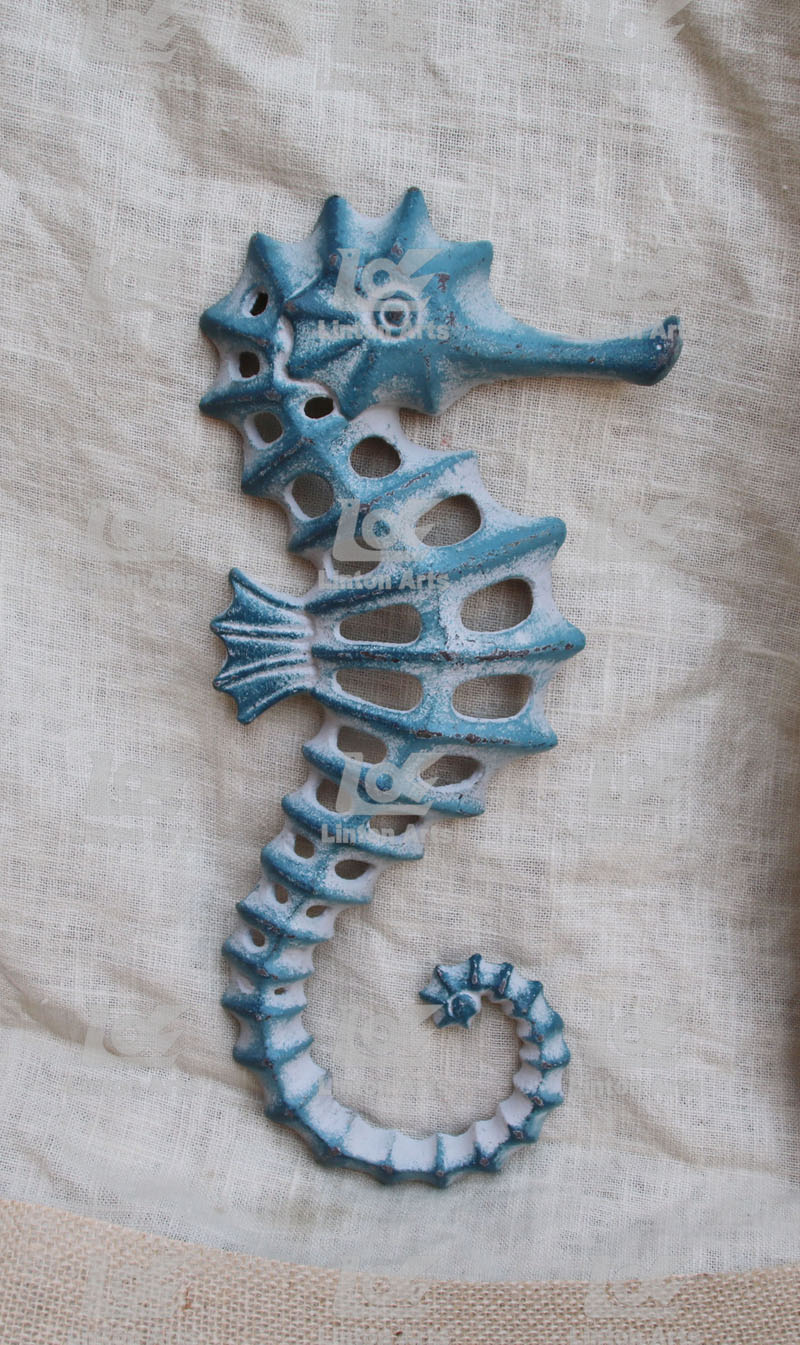 seahorse animal