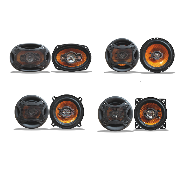 Speaker)