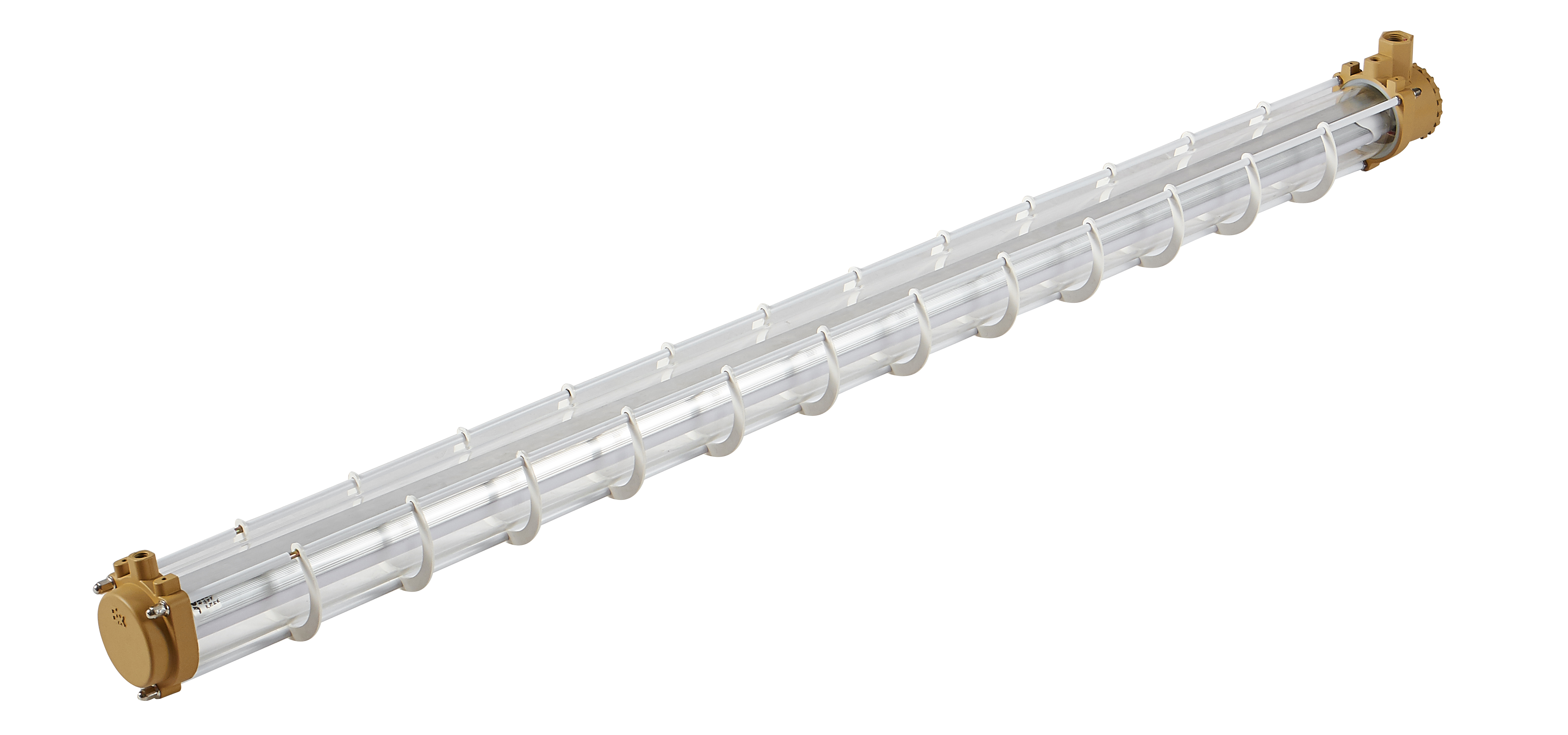 Fluorescent lamp