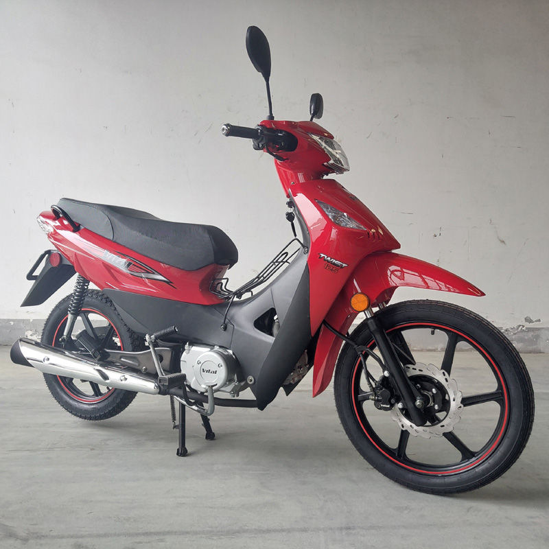 Twist 125cc cub motorcycle underbone