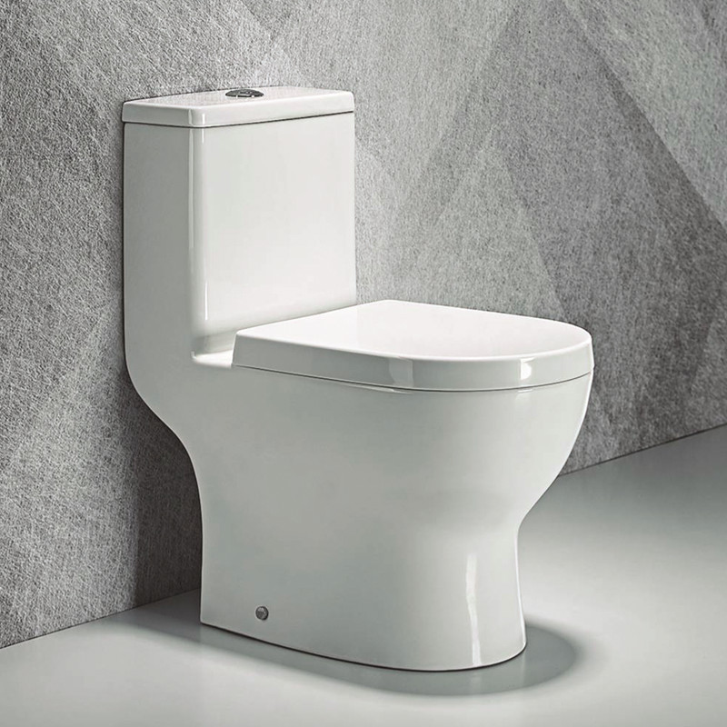 Washdown One Piece Toilet