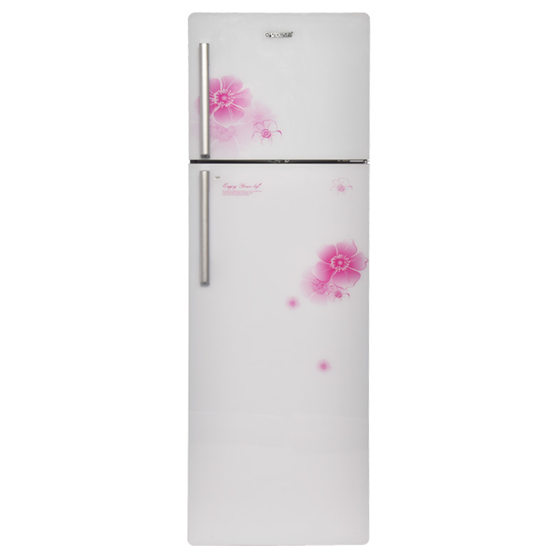 SNOWSEA DOUBLE DOOR REFRIGERATOR-BCD-260r