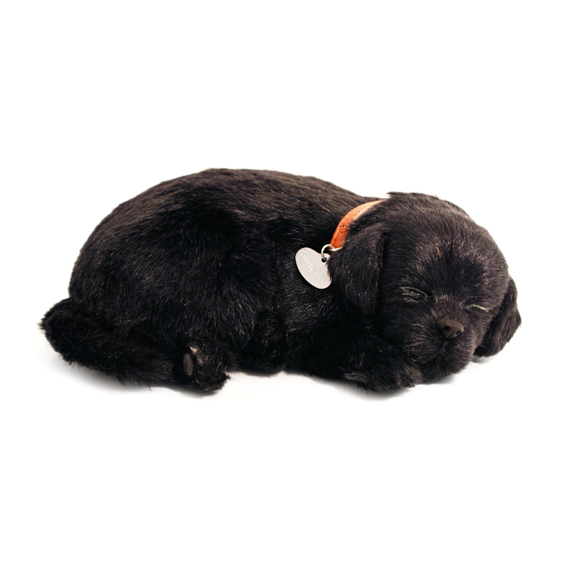 Perfect Petzzz - Black Lab