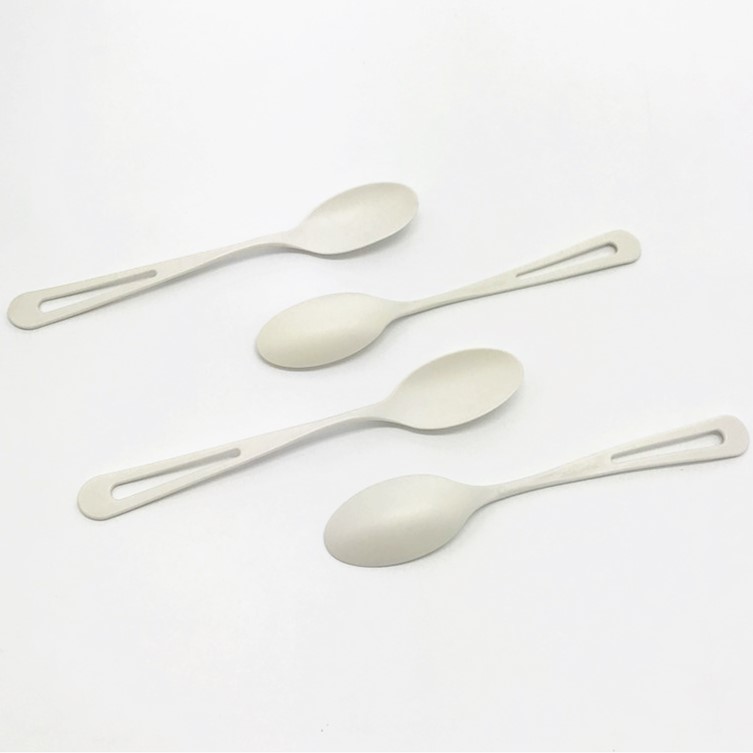 Biodegradable CPLA Spoon 7.5 inch