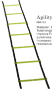 Agility ladder