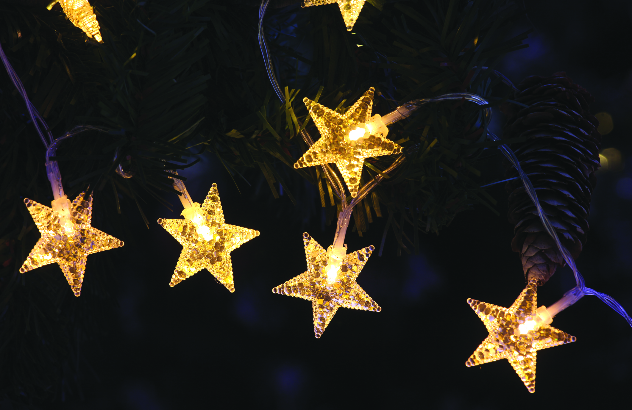 christmas lights