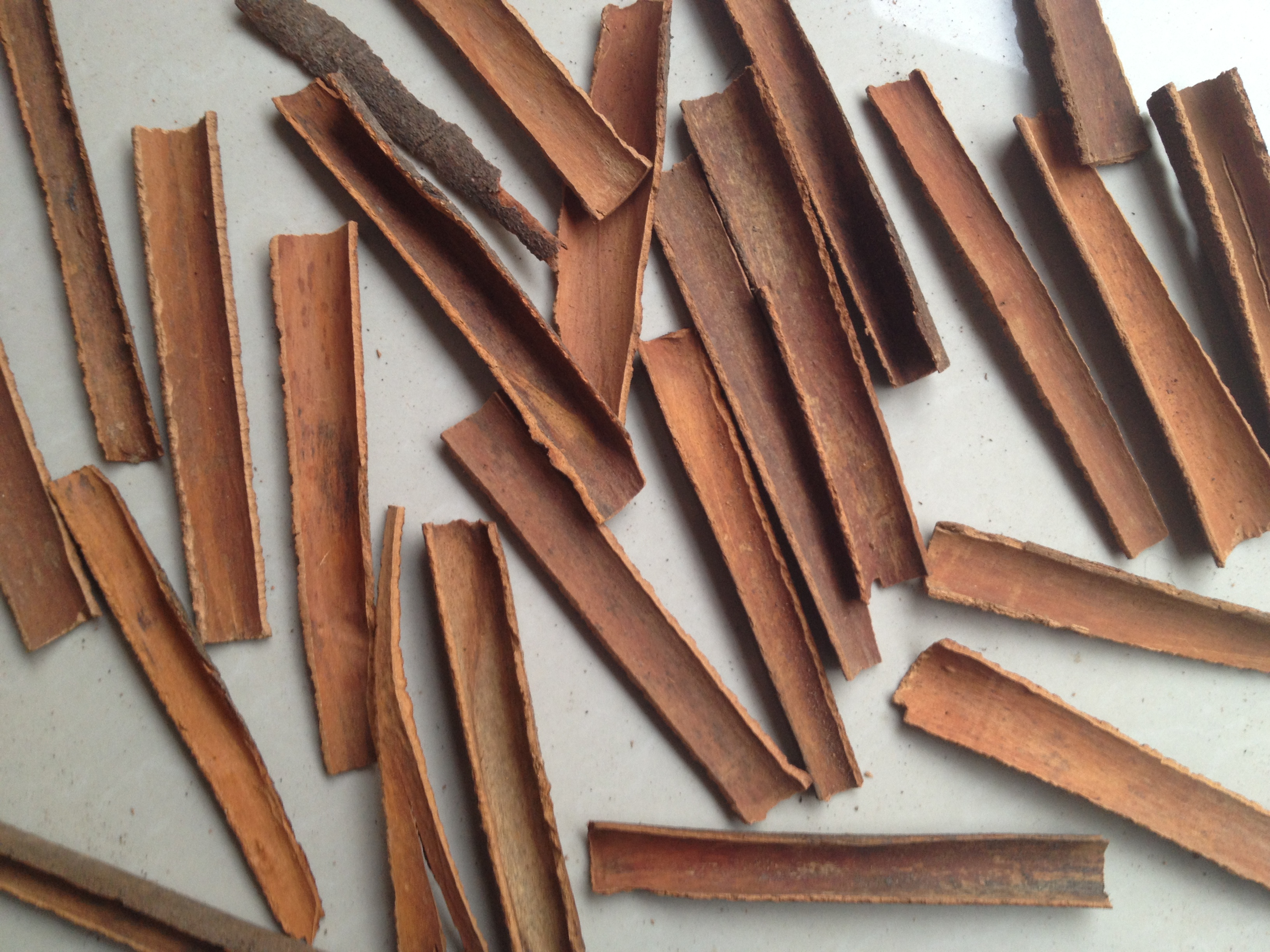Chinese Cinnamon