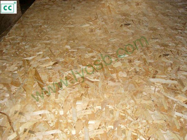 OSB exterior use for Russia