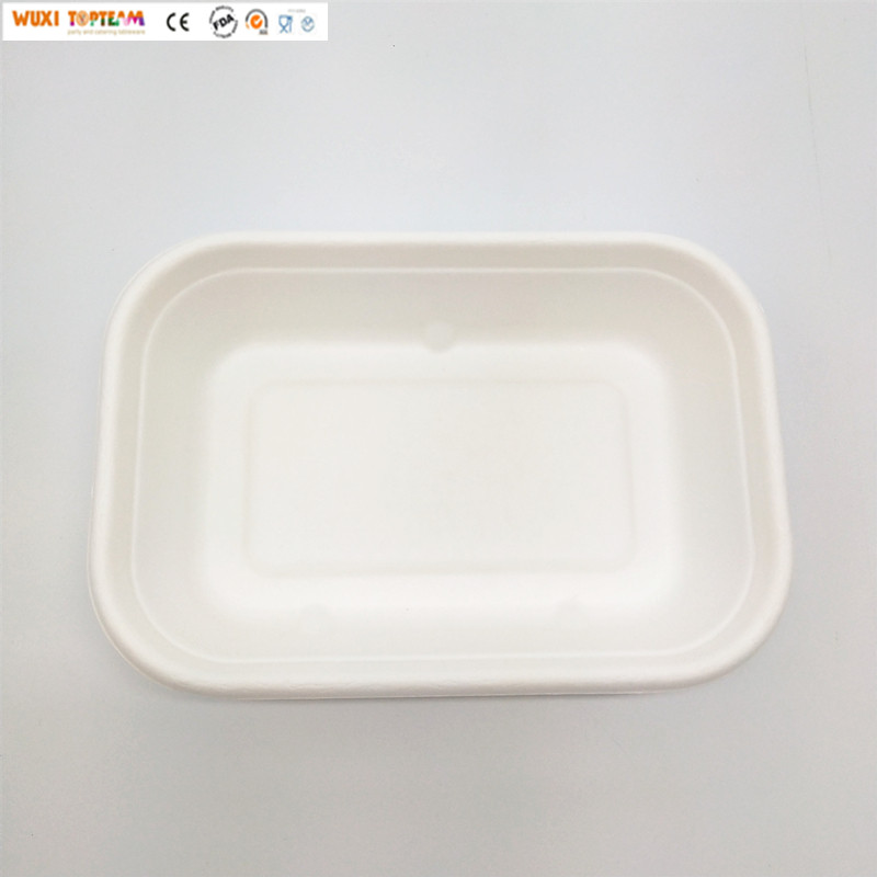 Disposable Plastic RPET Lid for 500ml Sugarcane Tray