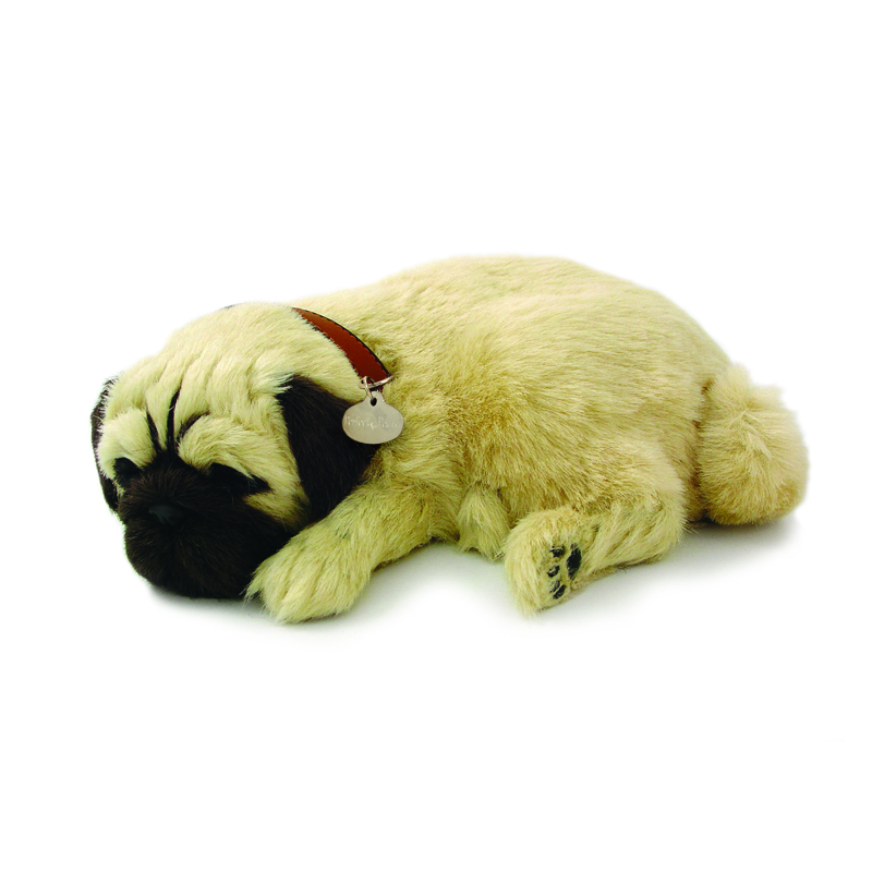 Perfect Petzzz - Pug