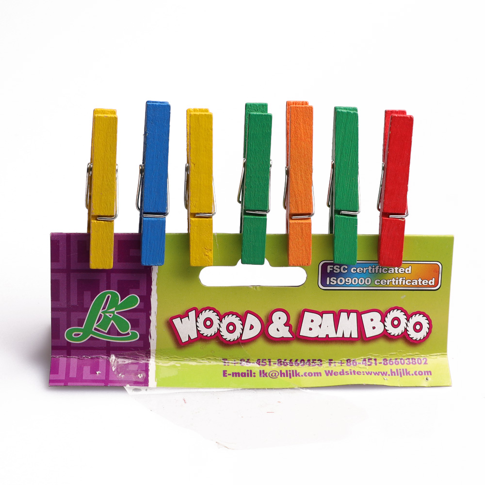 Educational wooden pegs