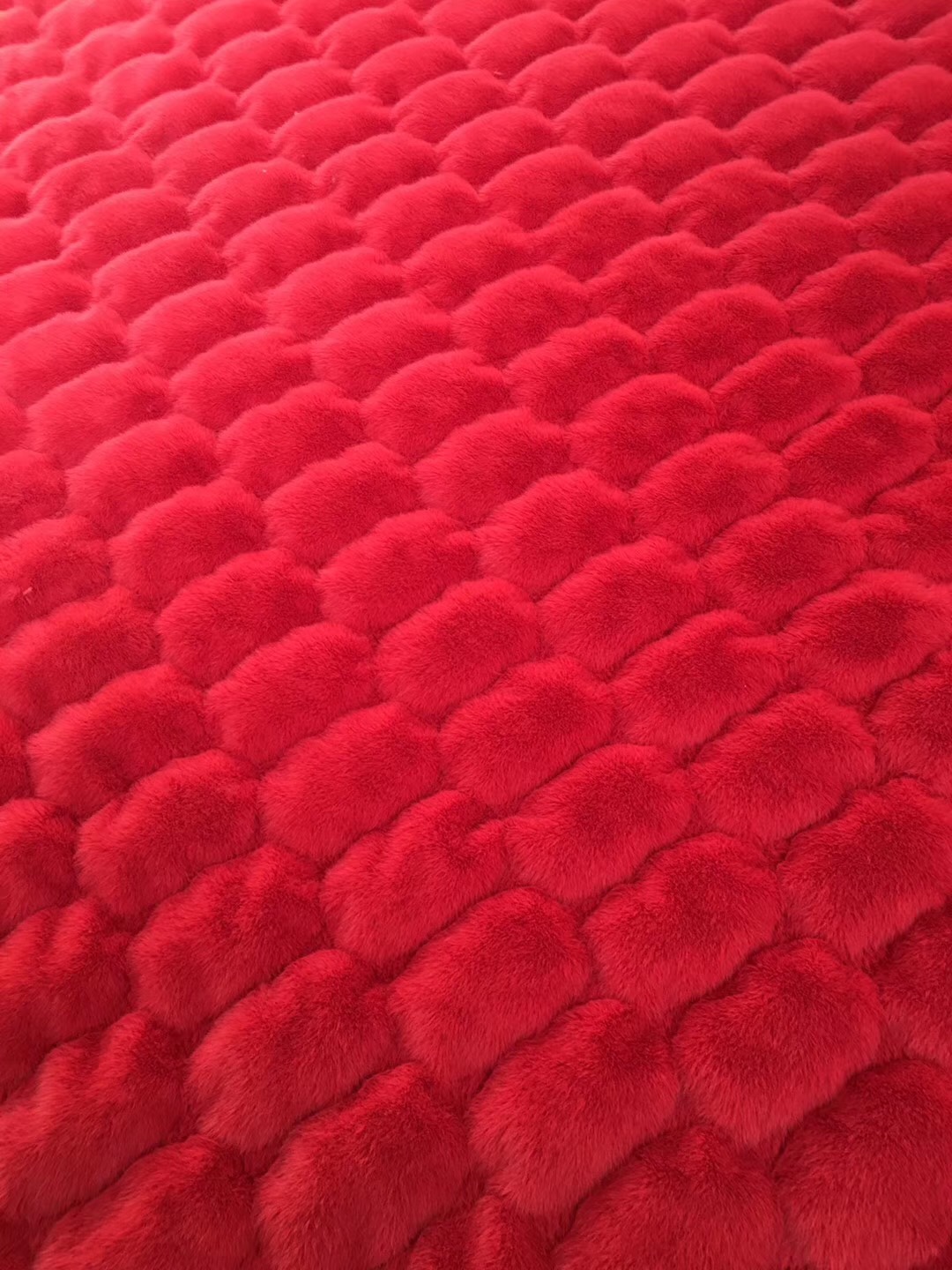 Rabbit Fur