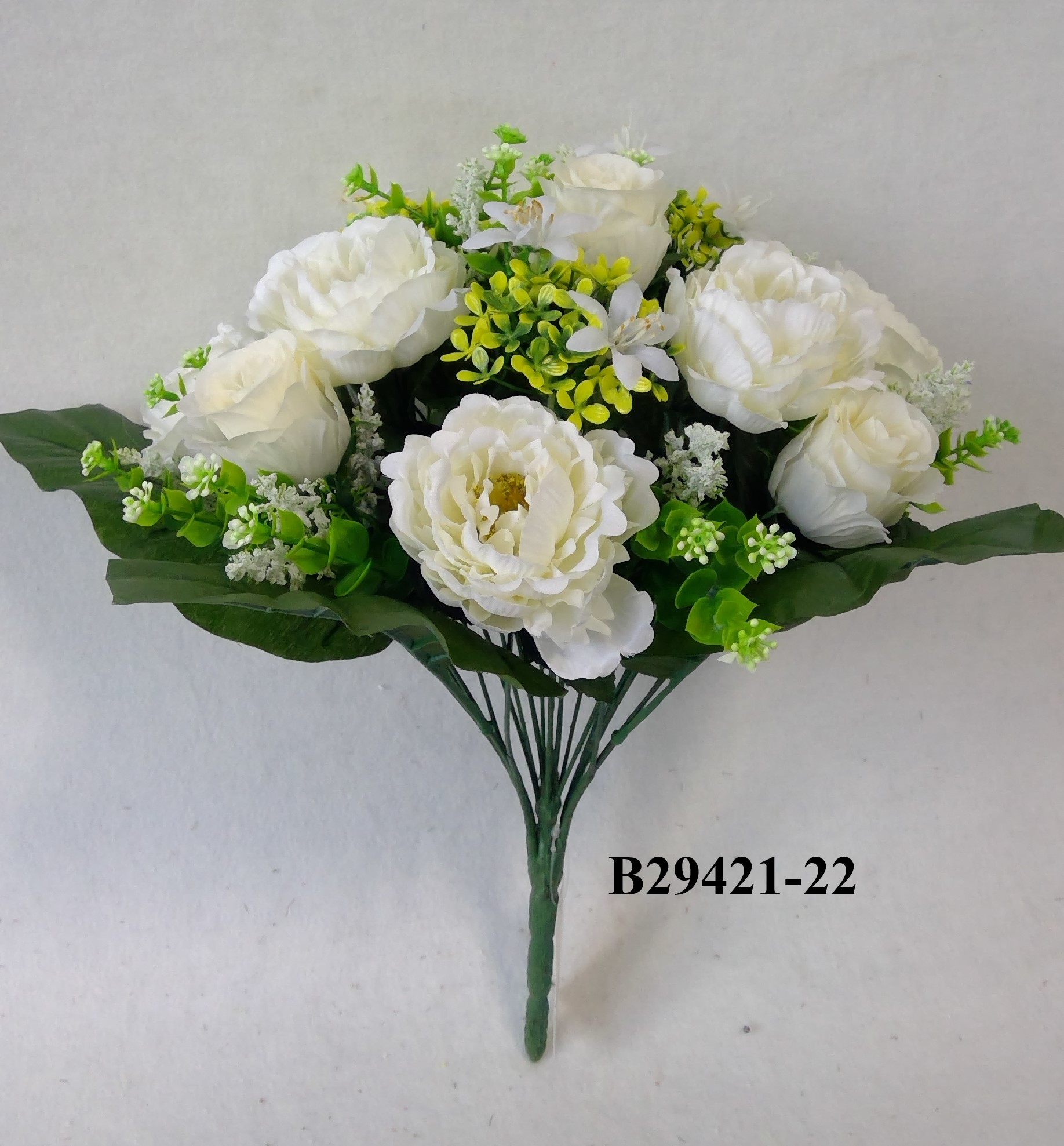Rose Bud Peony Mix Bush X 22