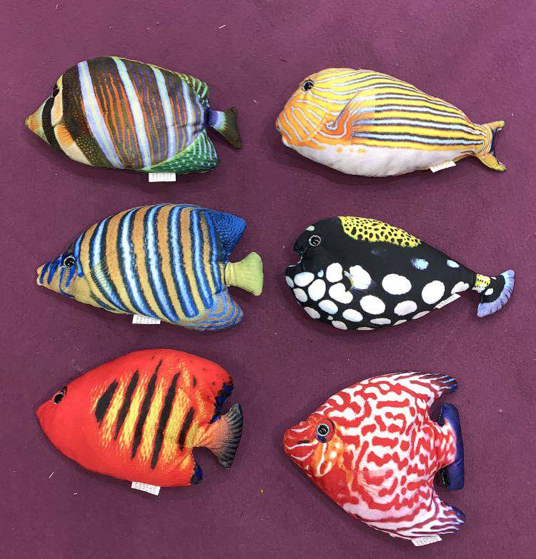 Fish